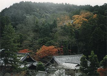 ��T���O��