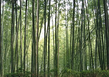 �����|��